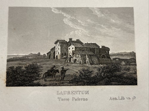 Laurntum torre paterno - torre,