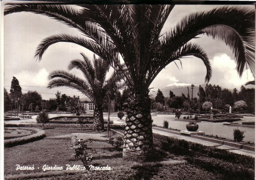 Cartolina paterno - cartolina, paterno'
